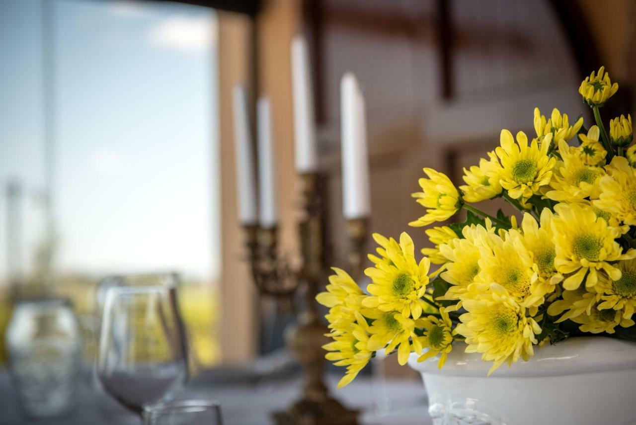 Agriturismo Casale Ugolini 蒙特斯佩尔托利 外观 照片