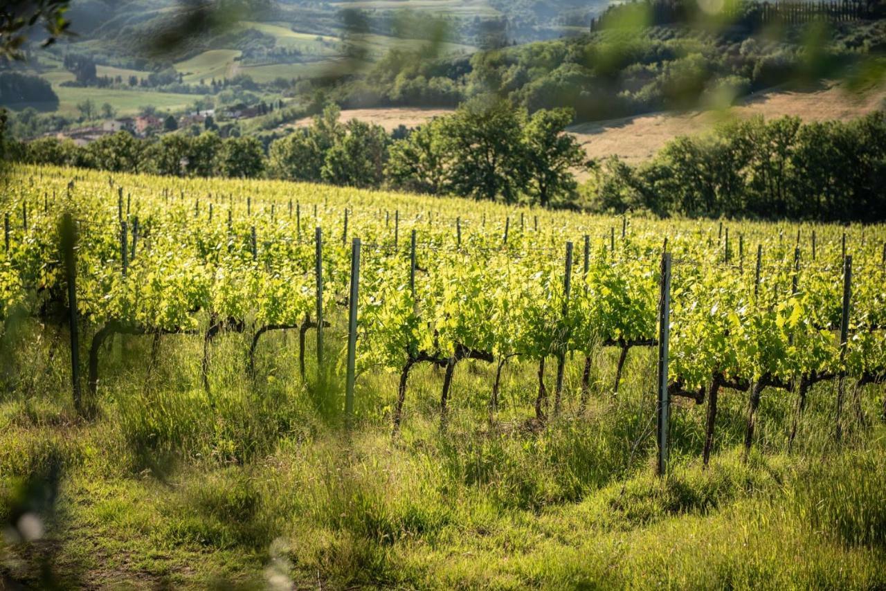 Agriturismo Casale Ugolini 蒙特斯佩尔托利 外观 照片